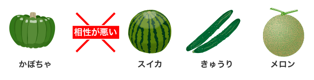 さあ おいしい野菜をつくろう 南総種苗株式会社